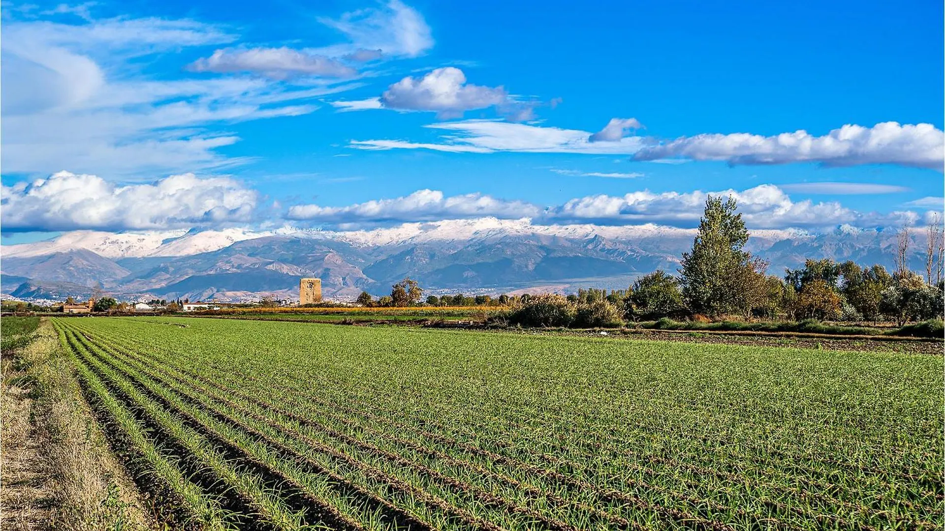 Dom wakacyjny Stunning Air Conditioned House Cijuela